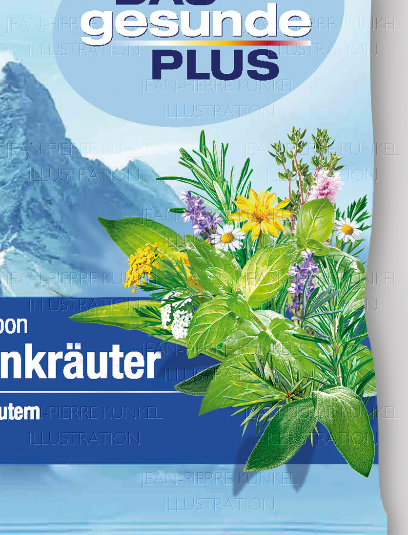 Alpenkräuter