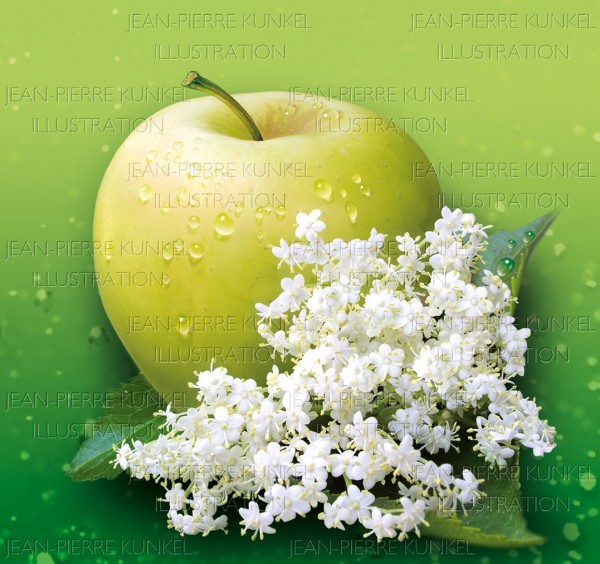 Apfel – Holunder