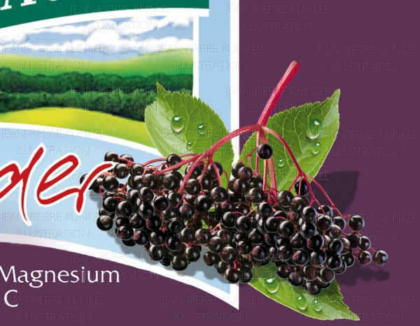 Holunderbeeren