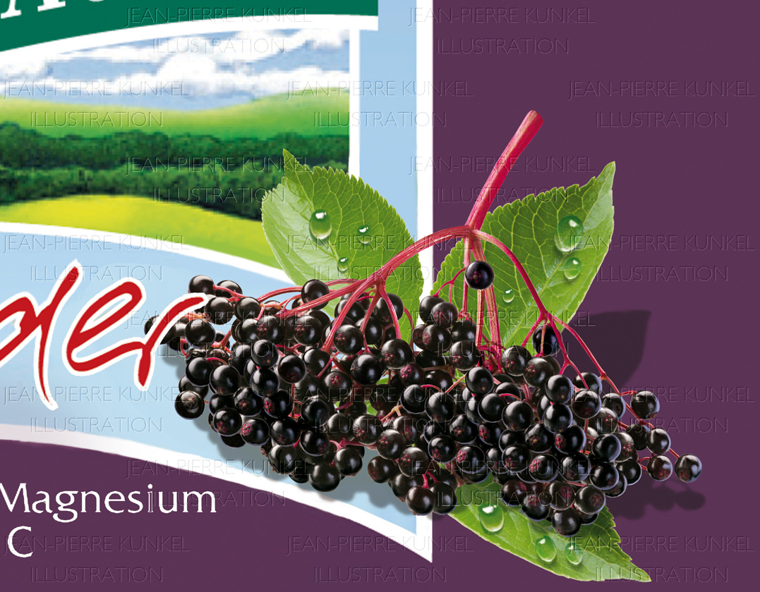 Holunderbeeren