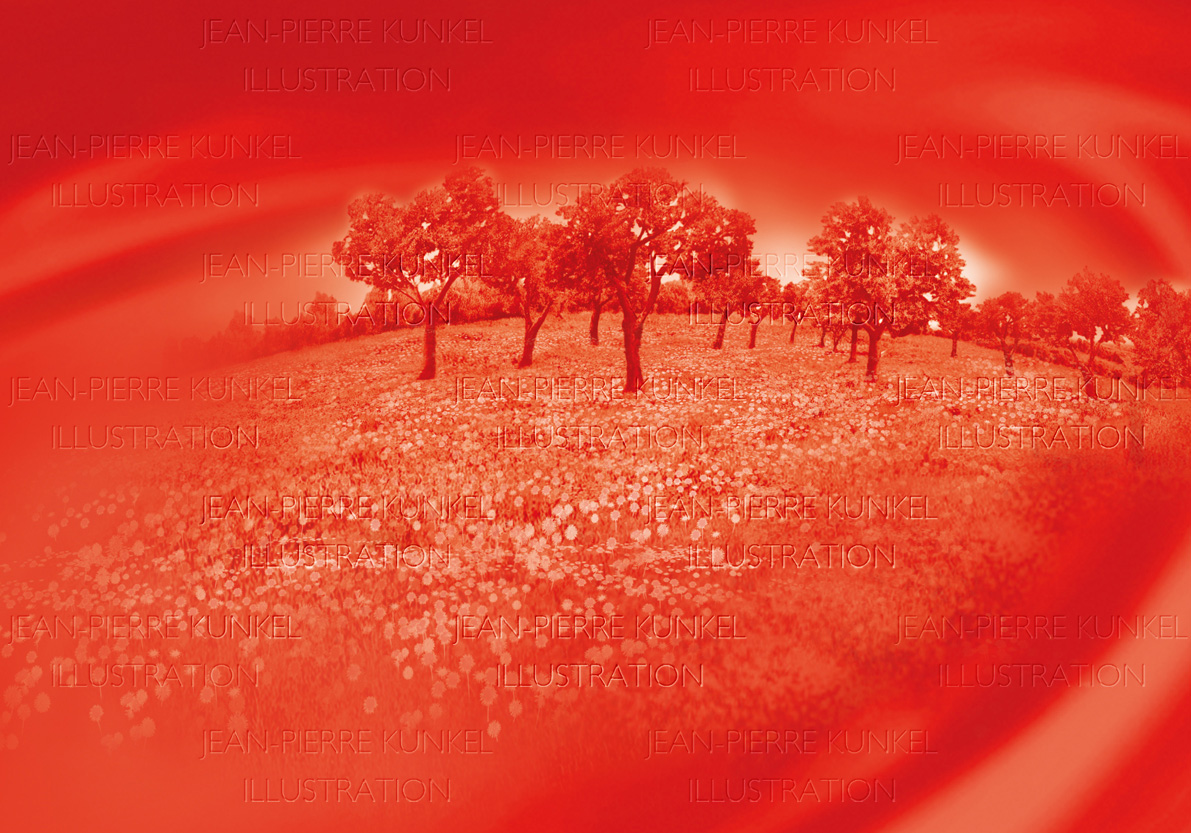 Landschaft mit Mandelbäumen