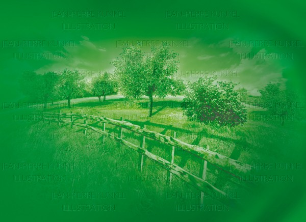 Wiesenlandschaft