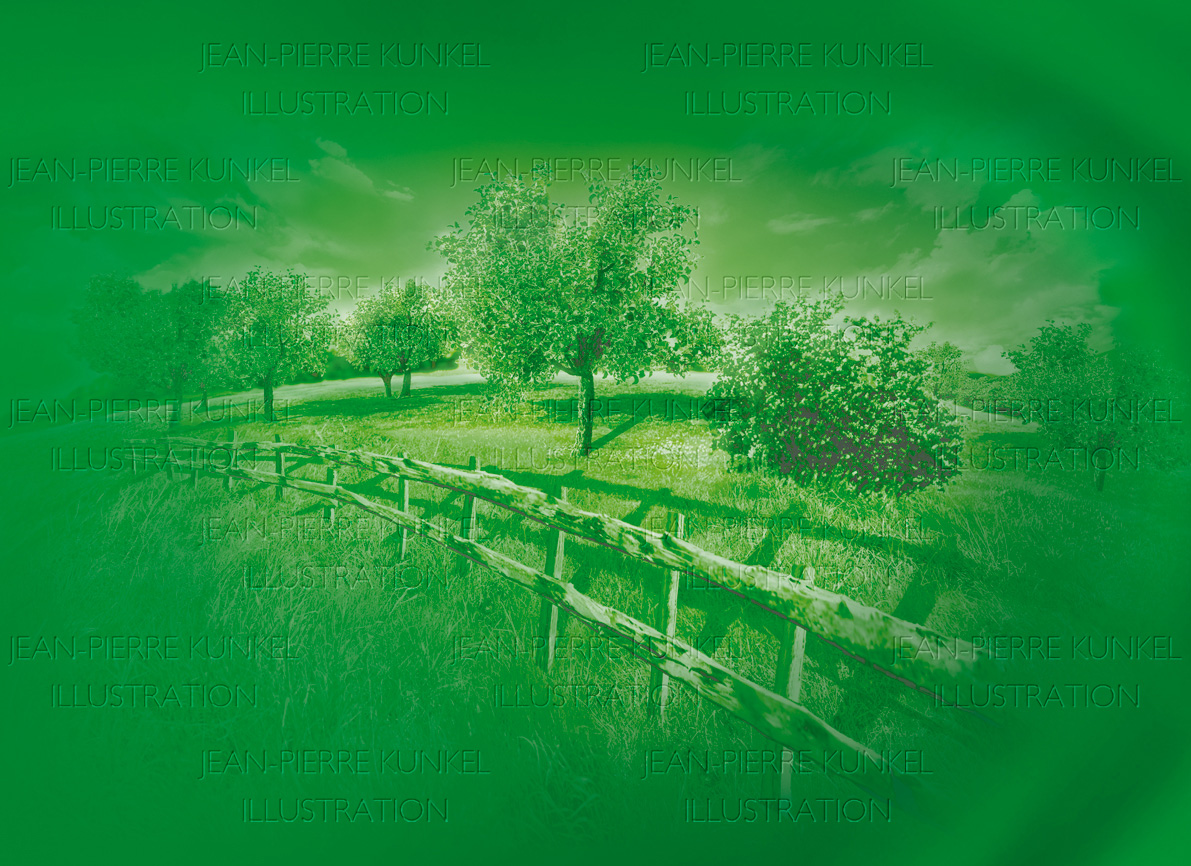 Wiesenlandschaft