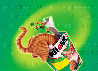 Kitekat Kater