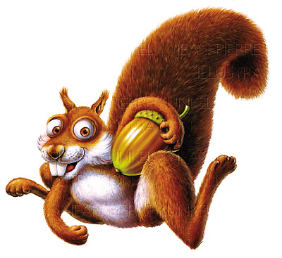 Eichhörnchen