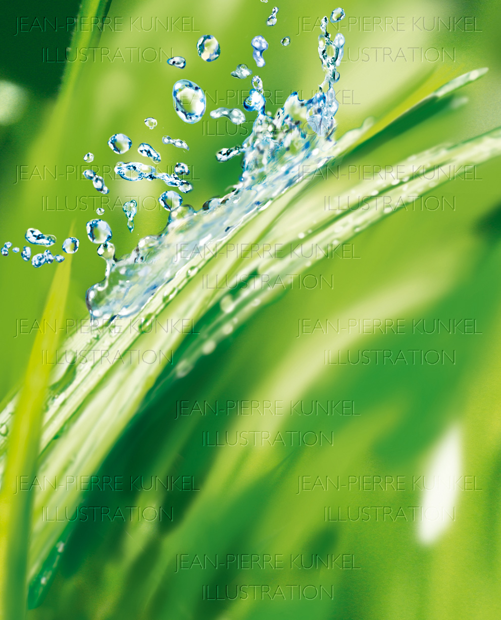 Wassersplash auf Grashalm