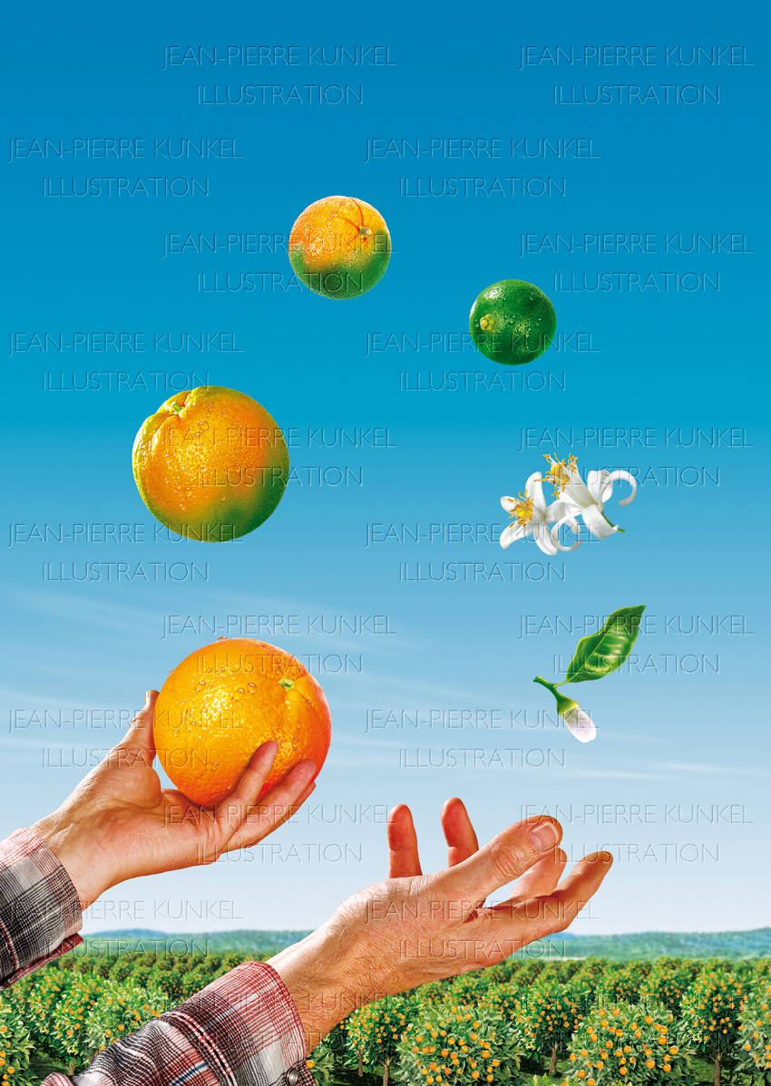Orangen