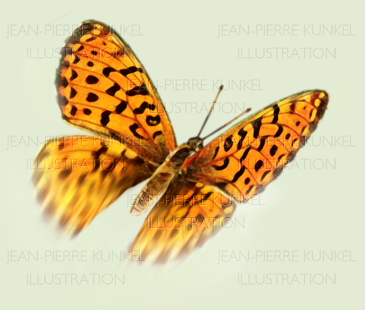 Schmetterling
