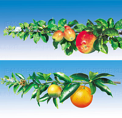 Obstbaumzweige