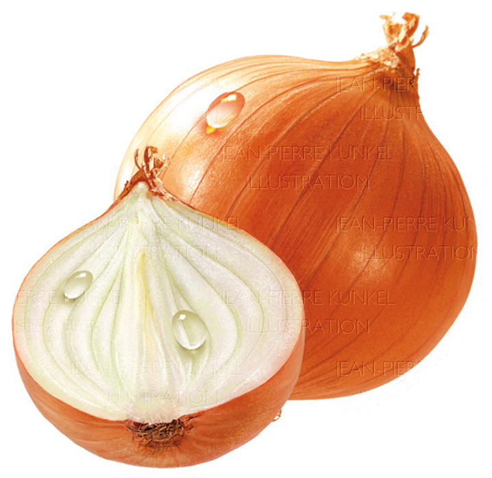 Zwiebeln