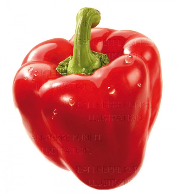 Illustration Paprika