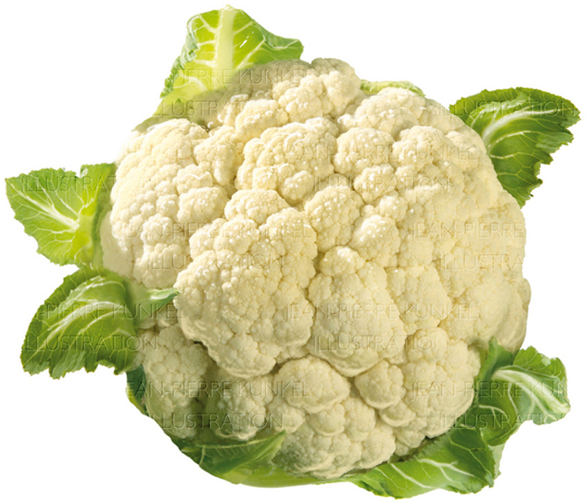 Blumenkohl