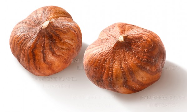 Haselnusskerne
