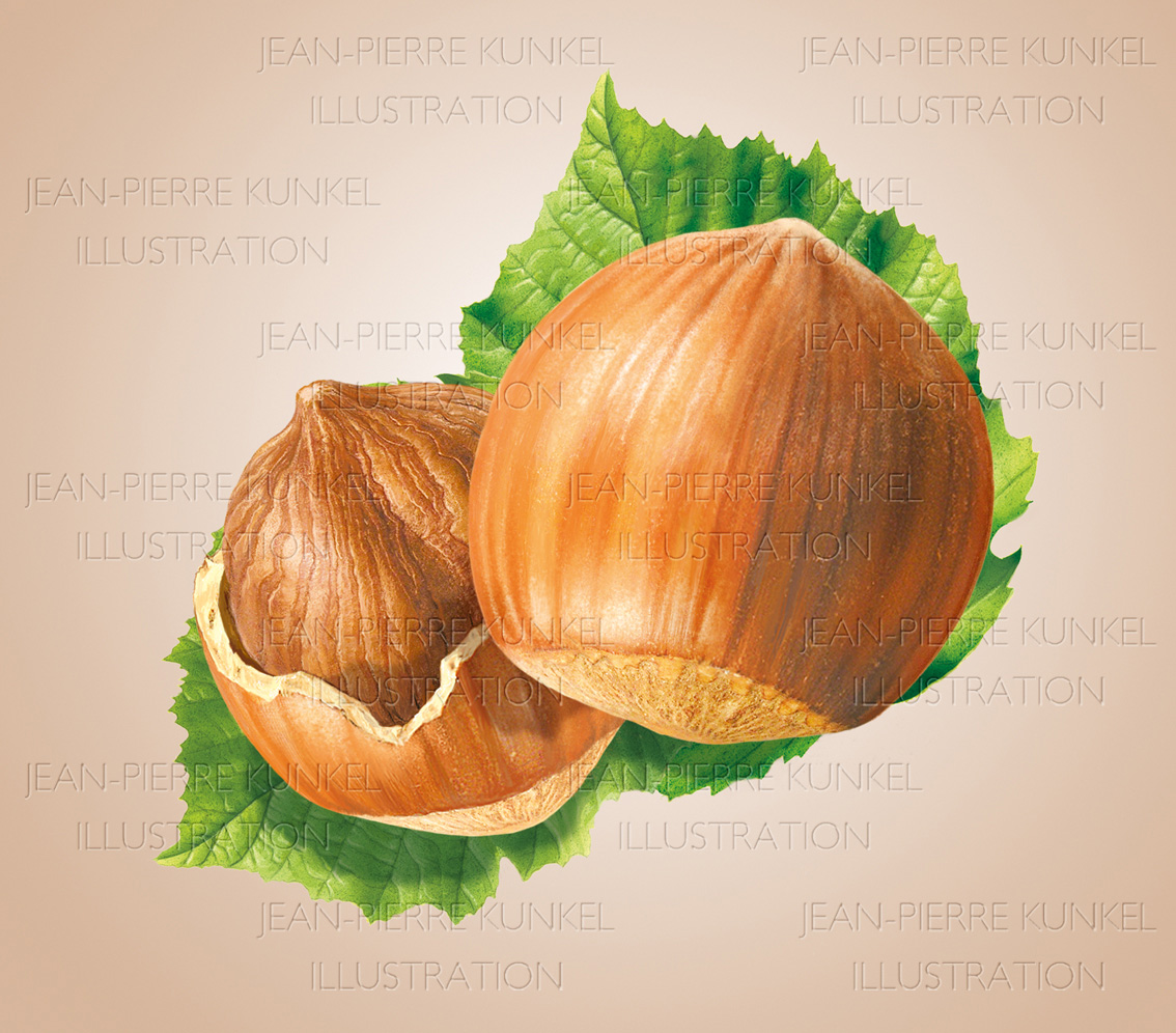 Haselnüsse