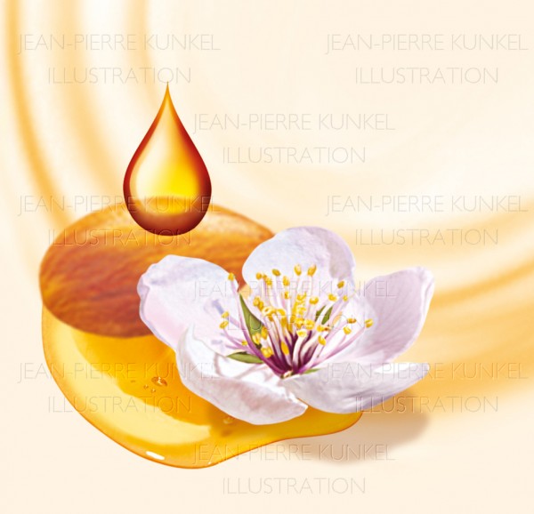 Mandelblüte/ Honig