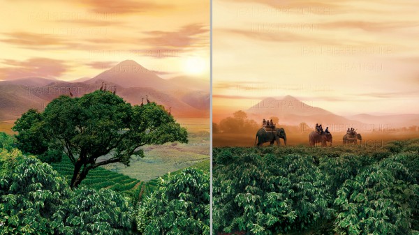 Kerala
