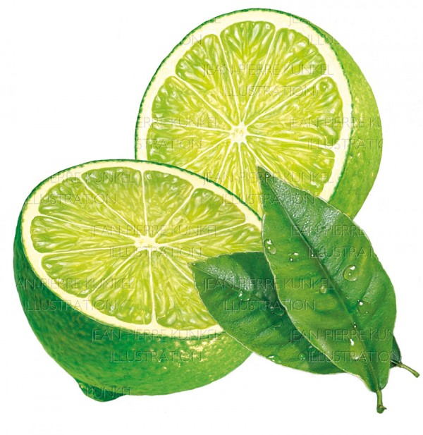 Limetten