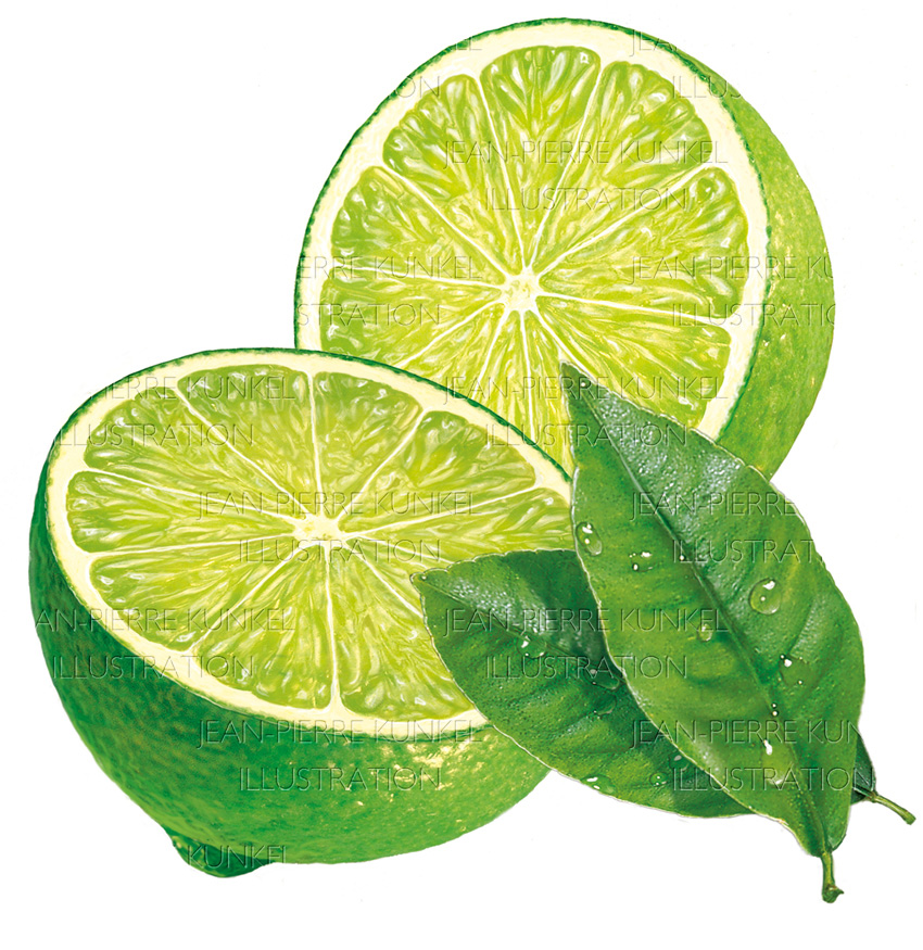 Limetten