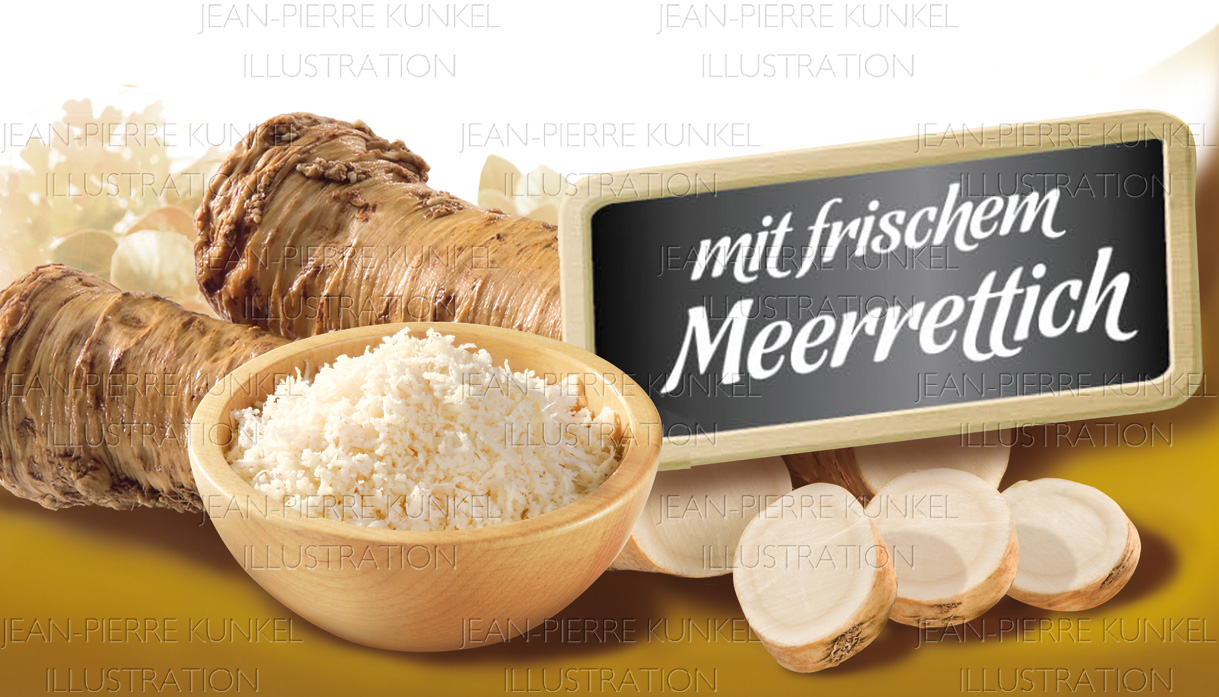 Illustration Meerrettich