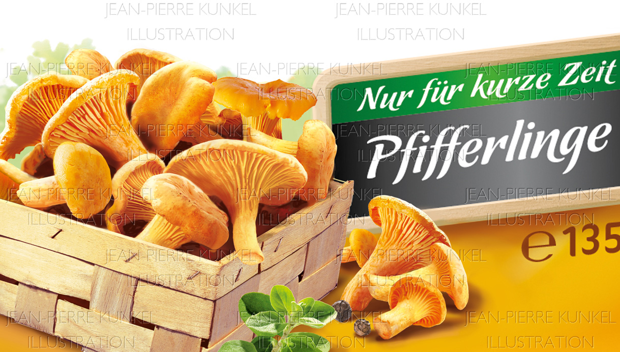 Illustration Pfifferlinge