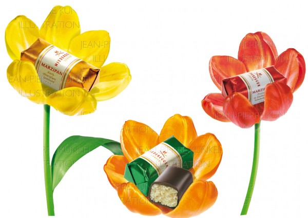 Niederegger-Tulpen