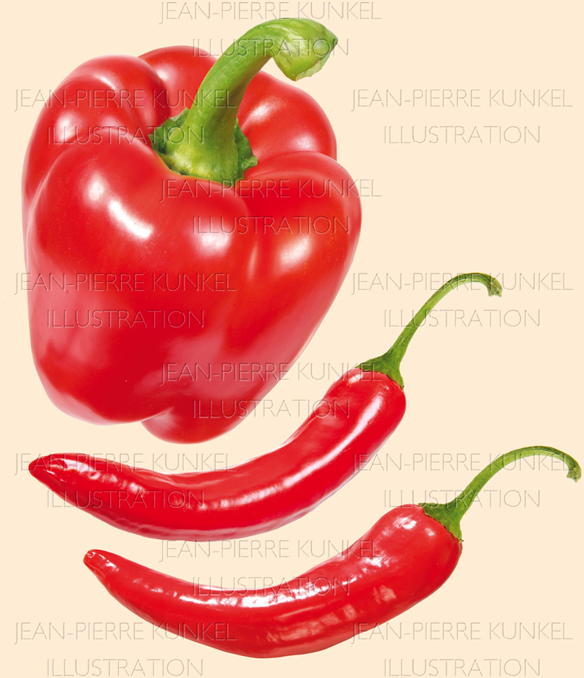 Paprika und Chili