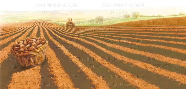Kartoffelanbau