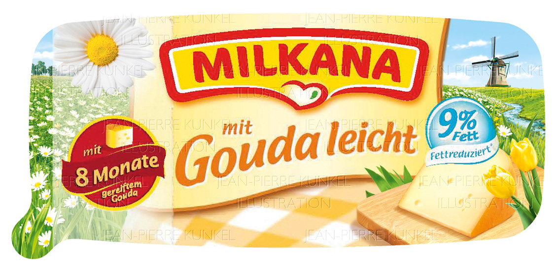 Gouda leicht