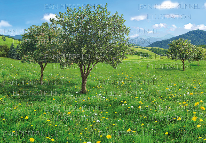 Sommer