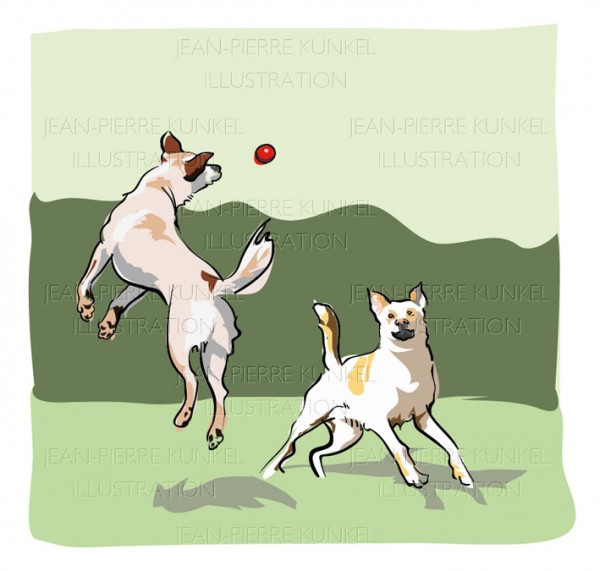 Hunde