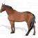 Pferd 1