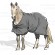 Pferd 2