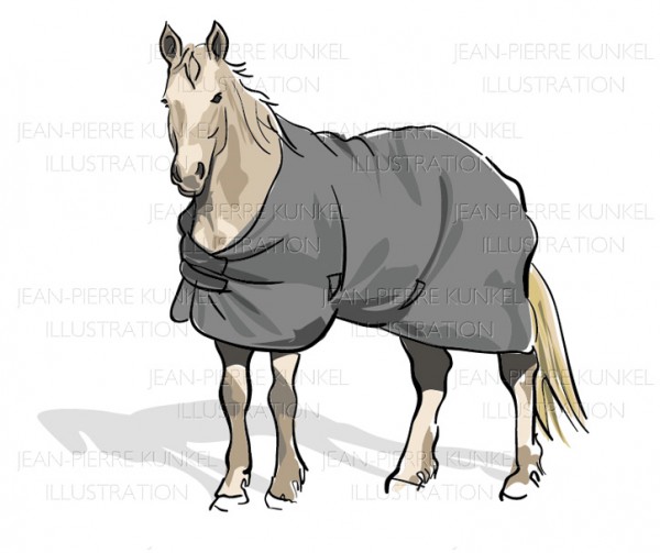 Pferd 2