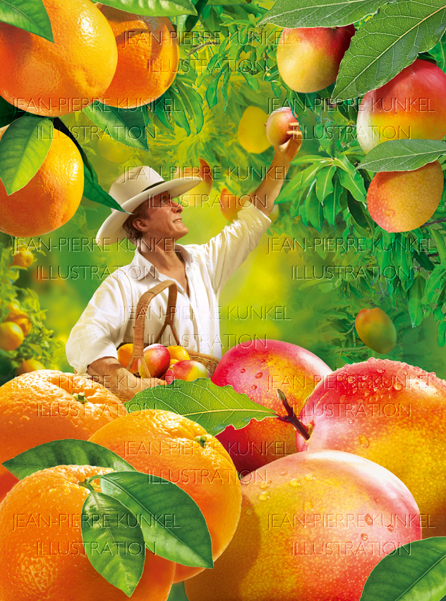 Obstpflücker 2