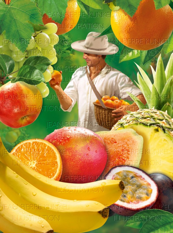 Obstpflücker 1