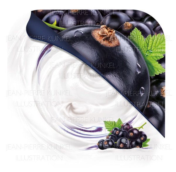 Schwarze Johannisbeere