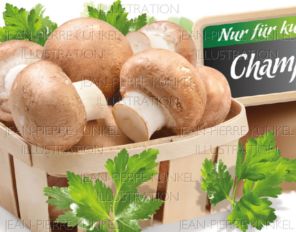 Champignons 2