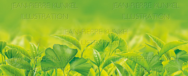 Tee mit Ginkgo