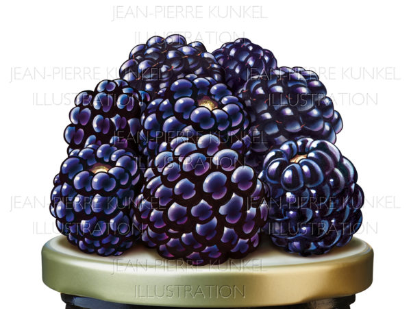 Brombeeren