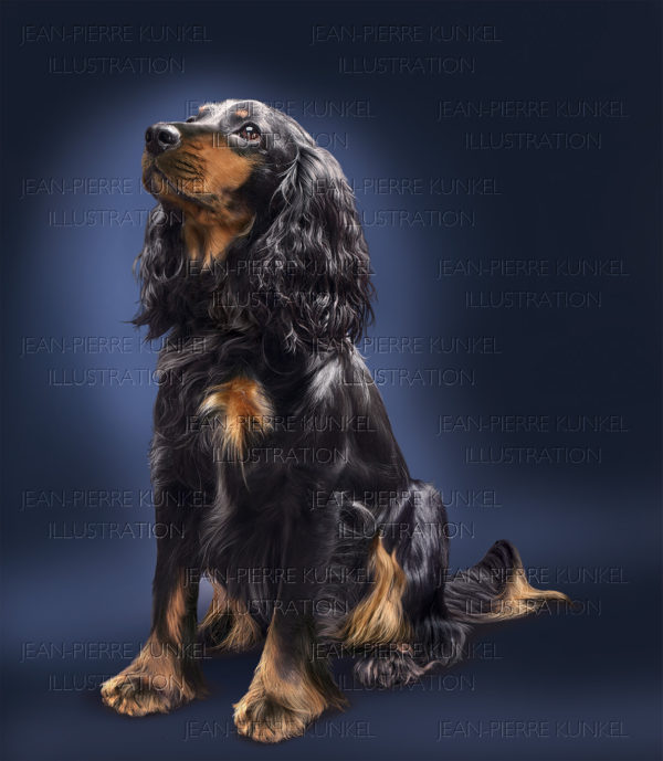 Hund 4
