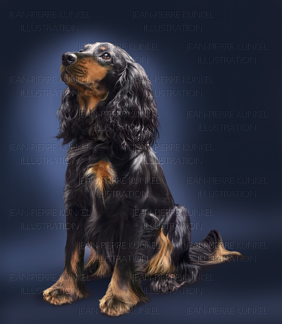 Hund 4