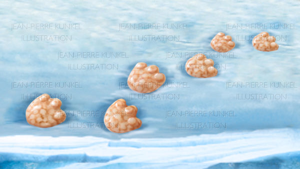 Knusper Cerealien