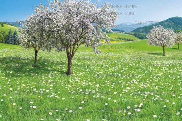 Frühlingslandschaft