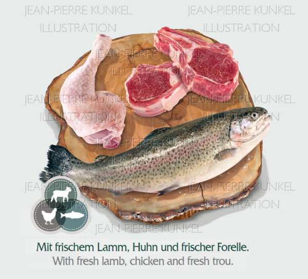 Produktbild Fisch und Fleisch 3
