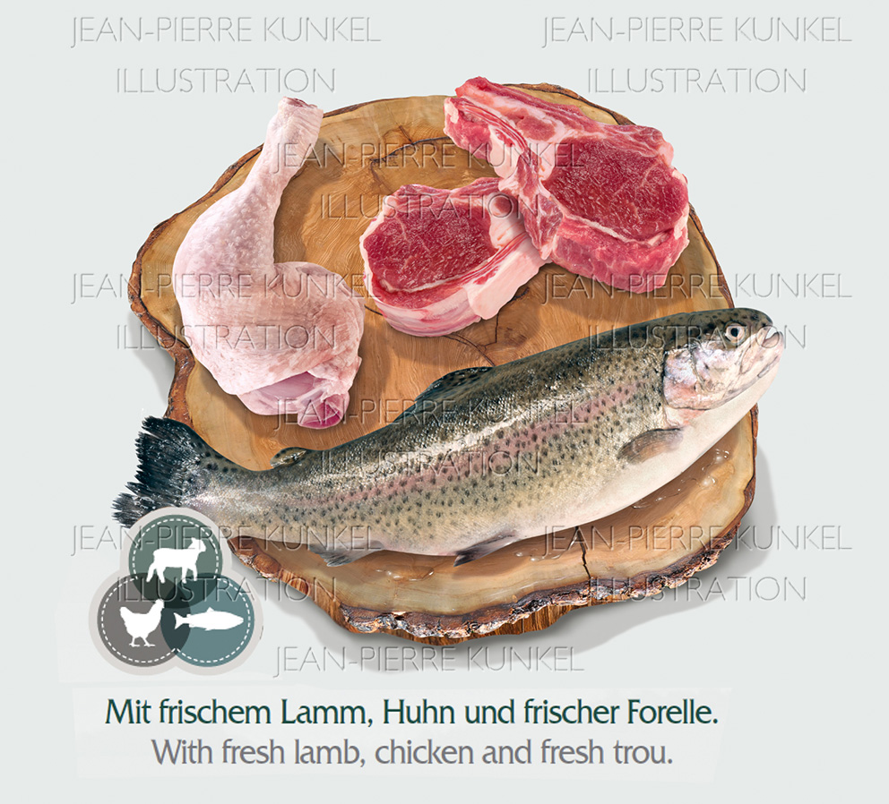 Produktbild Fisch und Fleisch 3