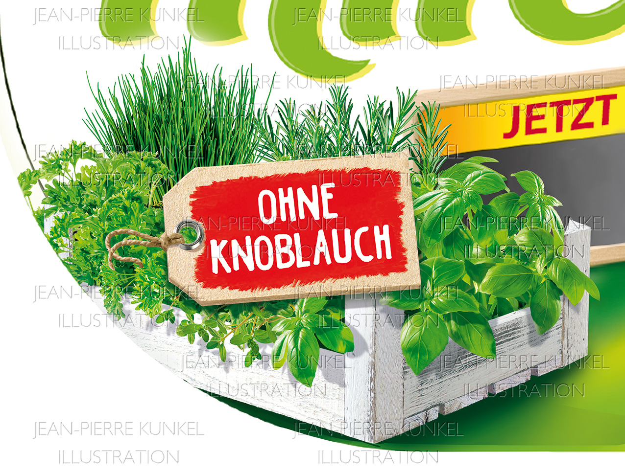 Kräuter Illustration
