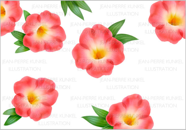 Blüten 1