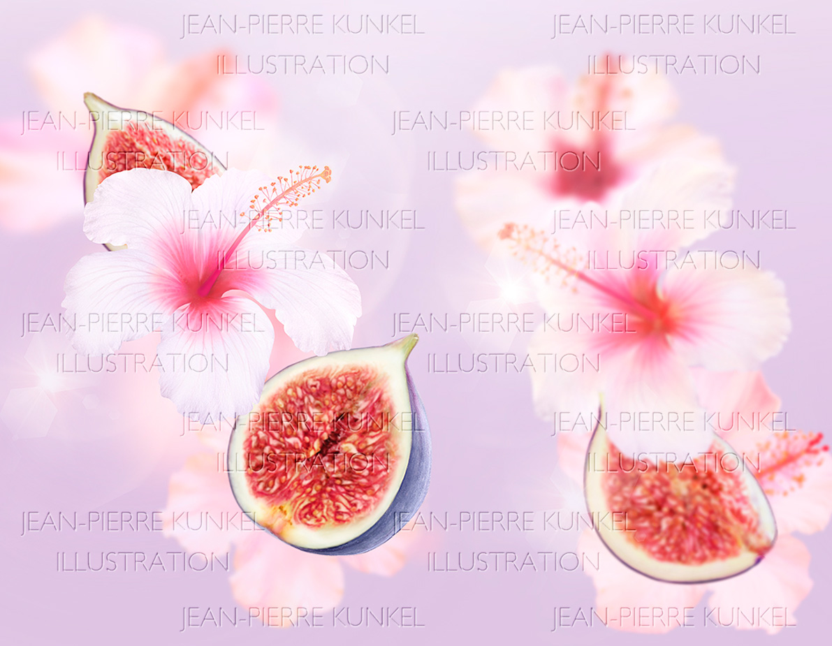 Hibiskus