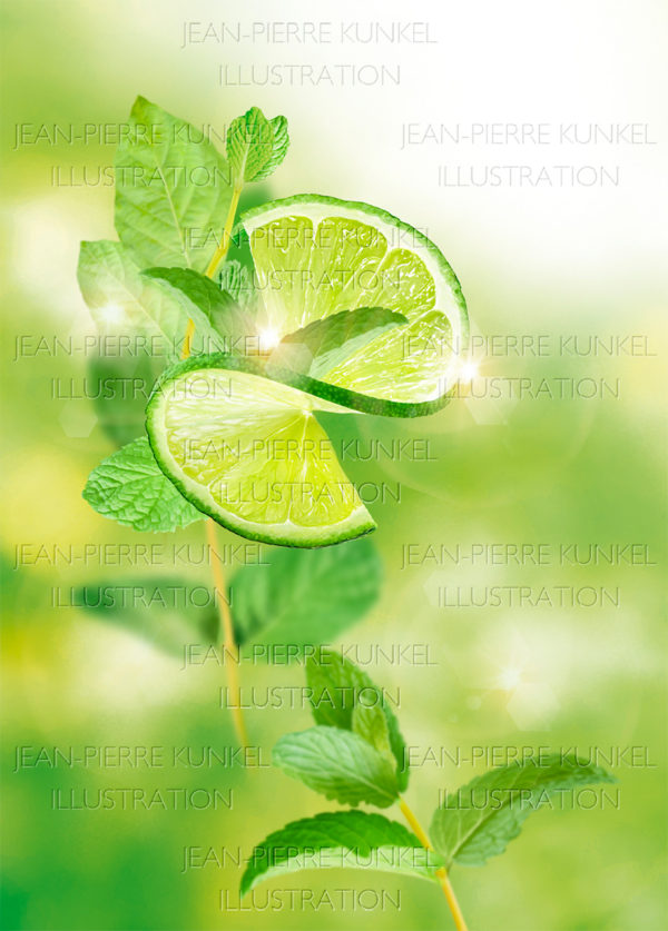 Citrus Illustration 1