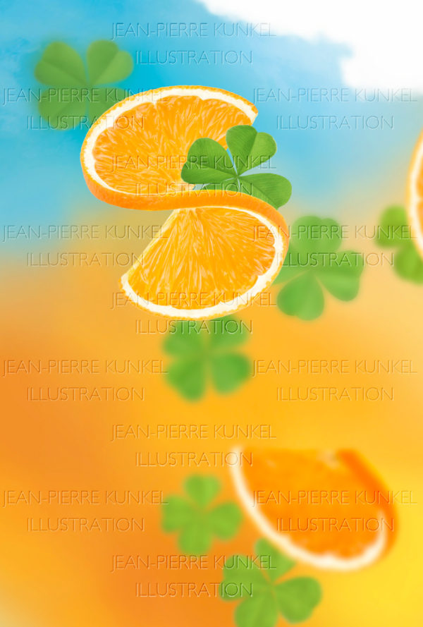 Orangenscheibe
